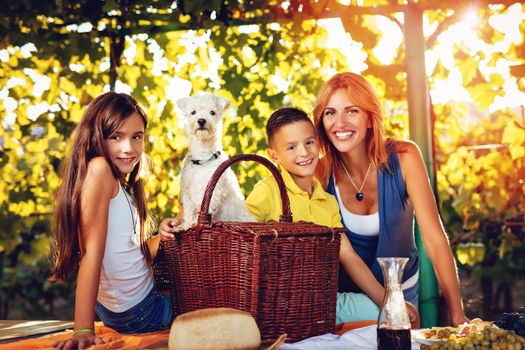 Beautiful smiling mother and her cute children with dog having picnic at a vineyard. Looking at camera.