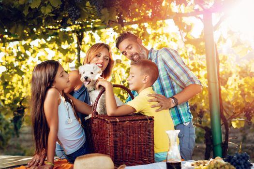 Beautiful young smiling family of four with dog having picnic at a vineyard.