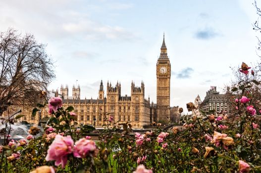 United Kingdom, Big Ben and the park of St Thomas Hospital Trust, London