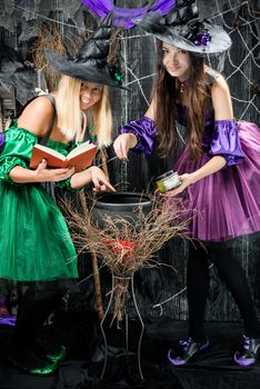 Witches in their hats brew potions in a cauldron