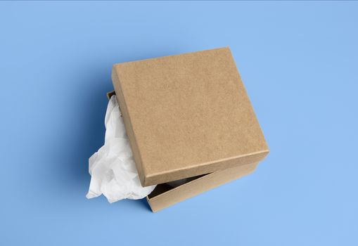 open cardboard box isolated on a background.