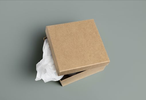 open cardboard box isolated on a background.