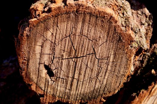 Rough Cut Oak Log with bark