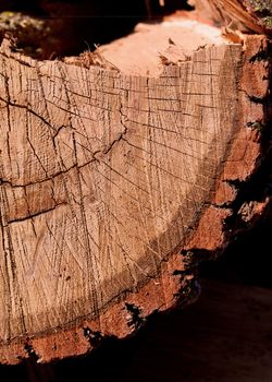 Quarter Section Oak