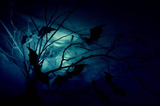 Decor of the silhouettes of bats on branches in a web in the night haze.