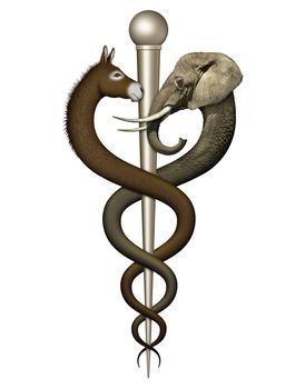 Digital illustration of a Caduceus, a symbol of medicine, designed to represent the debate or potential agreement over health care between democrats and republicans.