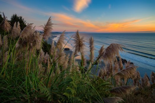 Beautiful Northern California Sunset at the Beach, Color Image