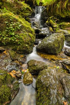 Small Waterfall in the Mountains of Northern California, Color Image