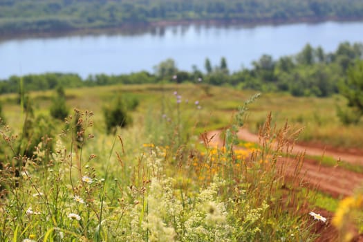 Summer meadow with a blue river view