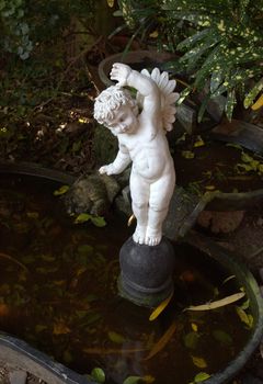 White plaster figure of an angel in a pond on a dark natural background