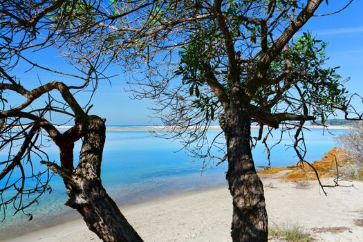 Scenic views over the crystal clear waters of the inlet and Bekta Beach in the far distance.  Mallacoota Foreshore Reserve, Victoria Australia