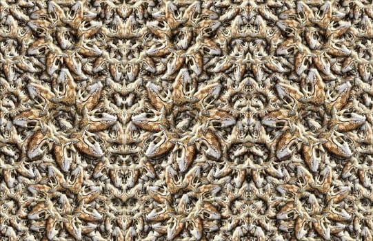 Digital composite of my photographs of the skulls of various mammals.