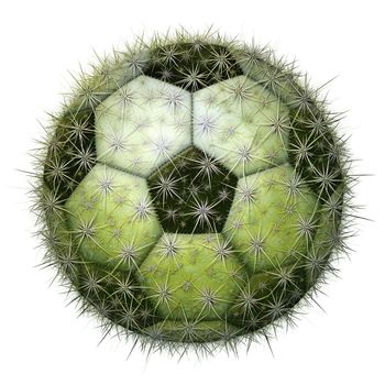 Digital illustration of a soccer ball with a cactus texture.