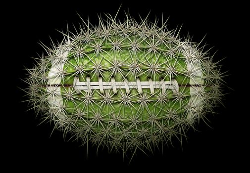 Digital illustration of a football-shaped cactus.