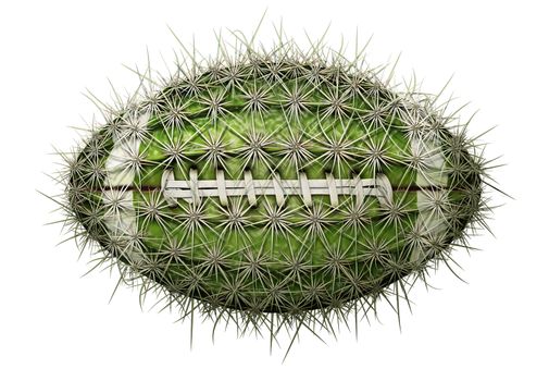 Digital illustration of a football-shaped cactus.