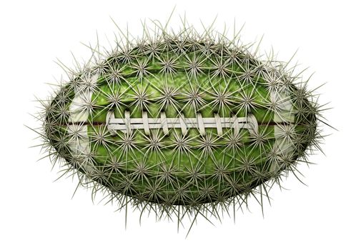 Digital illustration of a football-shaped cactus.