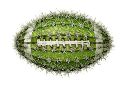 Digital illustration of a football-shaped cactus.
