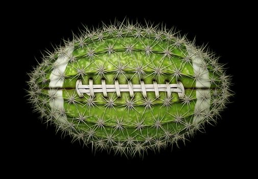 Digital illustration of a football-shaped cactus.