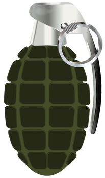 hand grenade vector illustration isolated on white background