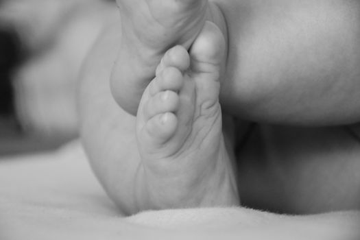 Baby, infant feet black and white photo, beautiful background for card,  banner, wallpaper design 