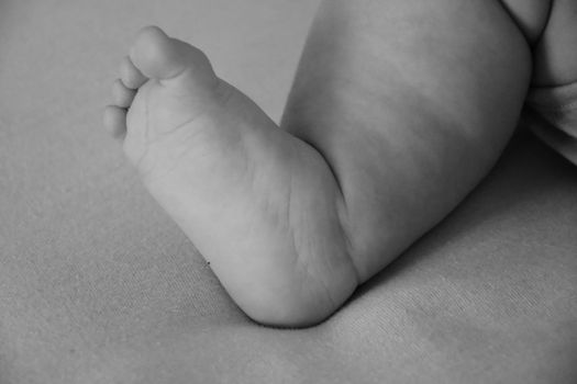 Baby, infant feet black and white photo, beautiful background for card,  banner, wallpaper design 