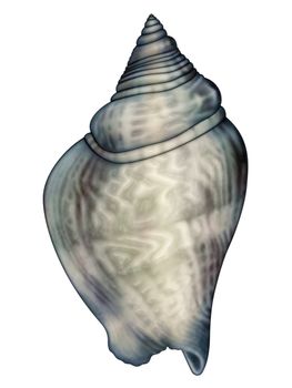 Computer generated illustration of a sea shell.