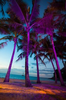 Illuminated palm trees on tropical beach of Thailand