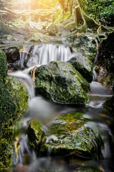 Beautiful small waterfall in forest