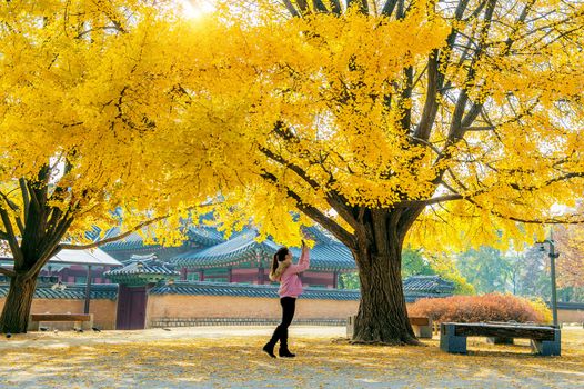Woman take a photo at autumn in gyeongbokgung.