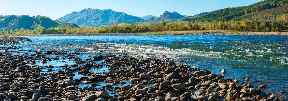 Fast mountain river with the purest water in Altay mountains, Siberia, Russia