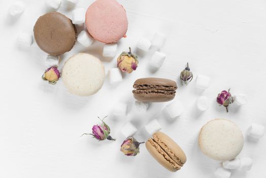 Multicoloured macaroons, dried rose buds and marshmallow on white background; top view, flat lay composition