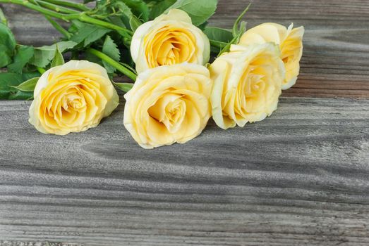Bouquet of yellow roses lying on the background of the old wooden unpainted boards