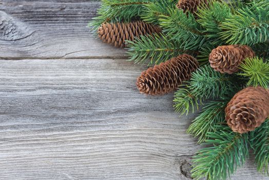 Christmas frame composed of pine cones and spruce branches on the background of old unpainted wooden boards; with copy-space