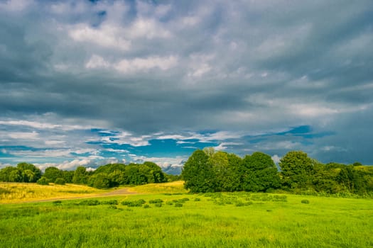 Panorama view of beautiful summer park with cloudy sky