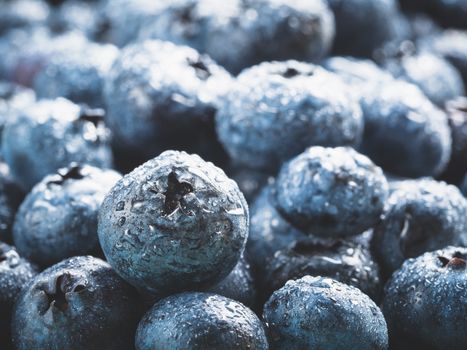 Extreme close up view of blueberries. Selective focus. Copy space. Bilberry on wooden Background. Blueberry antioxidant. Concept for healthy eating and nutrition