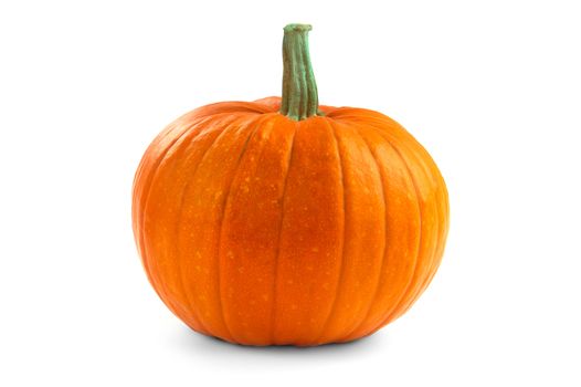 Single pumpkin isolated on a white background.
