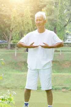 Portrait of healthy grey hair Asian old man practice taichi at outdoor park in morning.