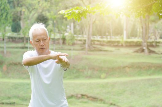 Portrait of healthy grey hair Asian old man practicing kungfu at outdoor park in morning.