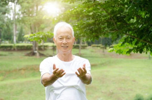 Portrait of fitness white hair Asian senior man practicing tai chi at outdoor park in morning.