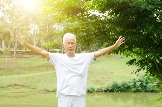 Portrait of fitness grey hair Asian senior man practicing tai chi at outdoor park in morning.