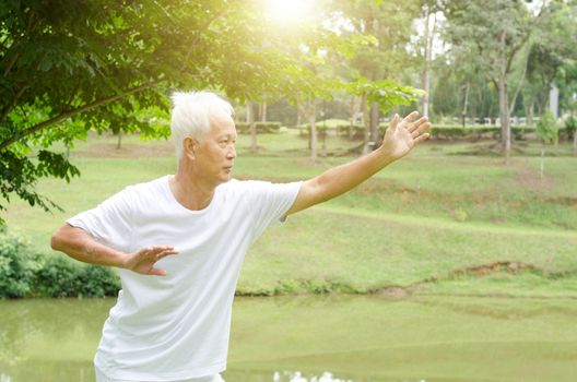 Portrait of healthy white hair Asian senior man practicing martial arts at outdoor park in morning.