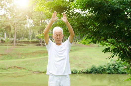 Portrait of healthy grey hair Asian senior man practicing tai chi at outdoor park in morning.