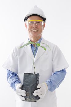 Portrait of Asian scientist in uniform hand holding plant seedling, standing isolated on white background.