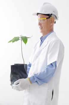 Portrait of Asian male scientist in uniform with hard hat, holding plant seedling, standing isolated on white background.