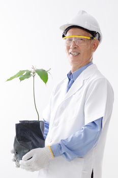 Portrait of Asian scientist in uniform with hard hat, holding plant seedling, standing isolated on white background.