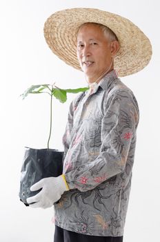 Portrait of old Asian man hand holding tree seedling standing isolated on white background.