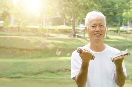 Portrait of active healthy grey hair Asian old man exercising at outdoor park in morning.