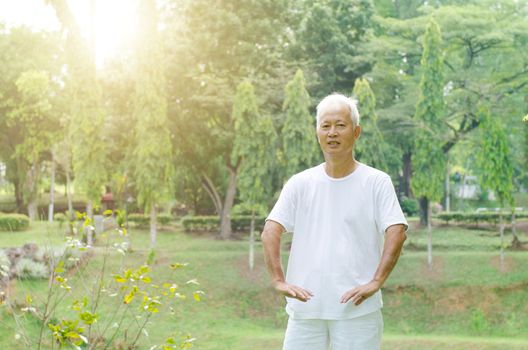 Portrait of healthy grey hair Asian old man practicing tai chi at outdoor park in morning.
