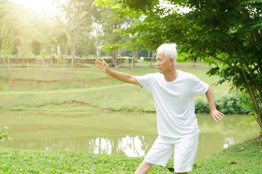 Portrait of fitness white hair Asian senior man practicing martial arts at outdoor park in morning.