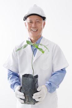 Portrait of Asian scientist hand holding plant seedling, standing isolated on white background.